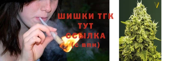 стаф Верхний Тагил